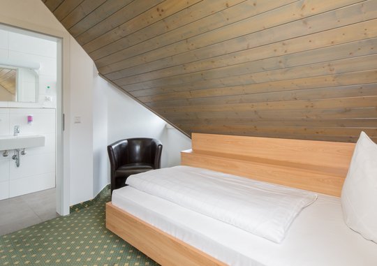 Single Room, Business Travel, Jaegerhaus Hotel Meckenbeuren, Lake Constance