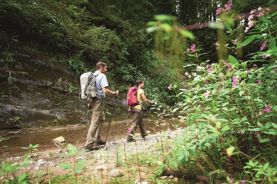 Wanderwege am Bodensee